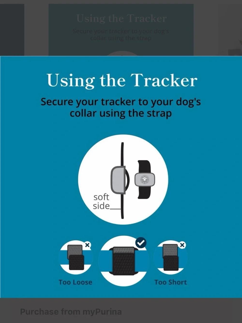 Smart GPS Activity Tracker Monitor Collar for Dogs *Keep Pet From Getting LOST!!
